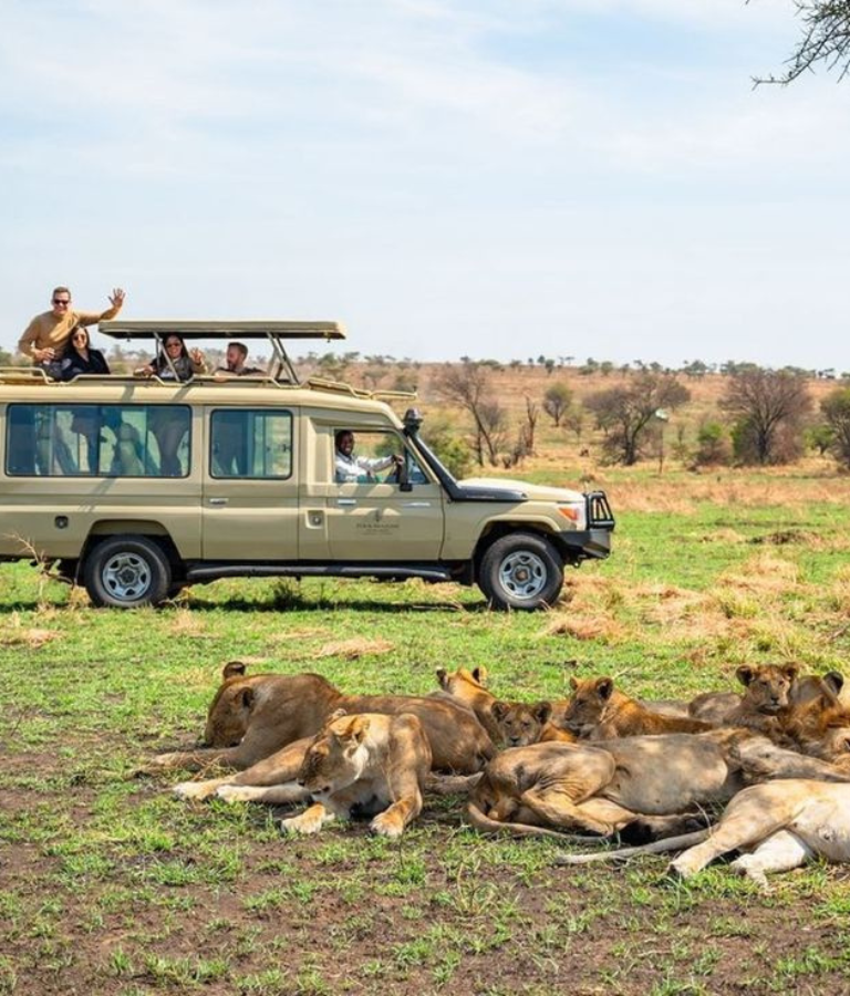 Safari and wildlife Experiences