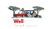 Wellspring Tours & Enterprise