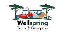 Wellspring Tours & Enterprise